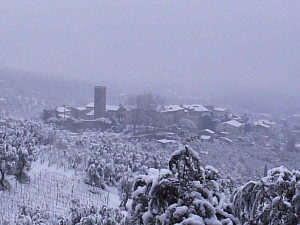 Cecina sotto la neve (2009)